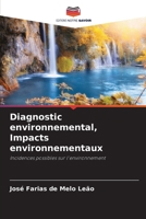Diagnostic environnemental, Impacts environnementaux: Incidences possibles sur l'environnement 6206325806 Book Cover