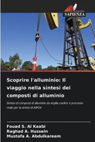 Scoprire l'alluminio: Il viaggio nella sintesi dei composti di alluminio (Italian Edition) 6207427645 Book Cover