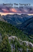 Into The FIre B0CVR4PGXS Book Cover