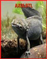 Axolotl: Fun Facts & Cool Pictures B08W7R1J47 Book Cover