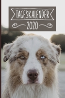 Tageskalender 2020: Terminkalender ca DIN A5 weiß über 370 Seiten I 1 Tag eine Seite I Jahreskalender I Australian Shepherd I Hunde 1702074579 Book Cover
