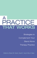 A Practice That Works: Tips and Strategies for Your Stand Alone Therapy Practice 0415950767 Book Cover