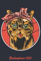Studienplaner 2020: Kalender DIN A5 2020 1 Tag = 1 Seite mit gro�em Tagesplaner und gro�artiger �bersicht. Monats�bersicht, Erinnerung und Notizen in diesem Kalenderbuch. Motiv Katze Miau Mietze Katze 1677646101 Book Cover
