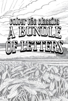 Color Your Own Cover of Henry James's A Bundle of Letters (Enhance a Beloved Classic Book and Create a Work of Art) (Colour the Classics) B0D1L9QG9Y Book Cover
