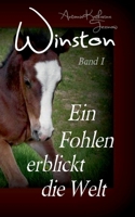 Winston - Ein Fohlen erblickt die Welt (German Edition) 3740715154 Book Cover