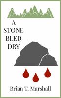 A Stone Bled Dry 1737156237 Book Cover