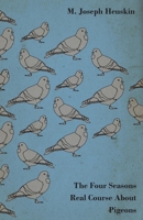 The Four Seasons Real Course about Pigeons 1443759058 Book Cover