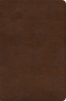 ESV Spanish/English Parallel Bible (La Santa Biblia RVR / The Holy Bible ESV, Paperback) 1433579650 Book Cover