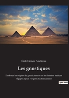Les gnostiques: Etude sur les origines du gnosticisme et sur les chrétiens habitant l'Égypte depuis l'origine du christianisme 2385082721 Book Cover