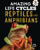Reptiles & Amphibians 1912108038 Book Cover
