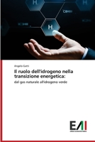 Il ruolo dell'idrogeno nella transizione energetica 6200840369 Book Cover