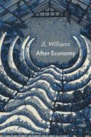 After Economy 184861537X Book Cover
