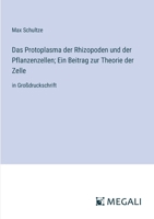 Das Protoplasma der Rhizopoden und der Pflanzenzellen; Ein Beitrag zur Theorie der Zelle: in Großdruckschrift (German Edition) 3387308205 Book Cover