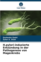 H.pylori-induzierte Entzündung in der Pathogenese von Magenkrebs (German Edition) 6207991583 Book Cover