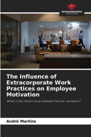 The Influence of Extracorporate Work Practices on Employee Motivation: What is the relationship between the two variables? 6206211797 Book Cover