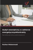 Audyt wewnętrzny w sektorze energetycznymKontrakty 6202373385 Book Cover