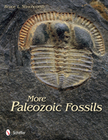 More Paleozoic Fossils 0764340301 Book Cover