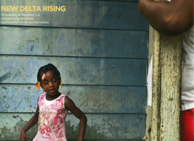 New Delta Rising 161703150X Book Cover