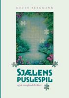 Sjaelens Puslespil - ...Og de Manglende Brikker (Danish Edition) 8771147217 Book Cover