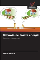 Odnawialne zródla energii (Polish Edition) 620882396X Book Cover