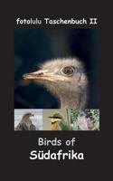 Birds of Südafrika 3743180480 Book Cover