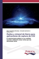 Óxidos y mineral de hierro para aplicaciones de captura de CO2: El calentamiento global es una realidad mundial. Debemos actuar antes que sea demasiado tarde. 6202432101 Book Cover