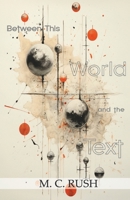 Between This World and the Text 9363540138 Book Cover