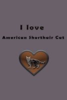 I love American Shorthair Cat 1655264710 Book Cover