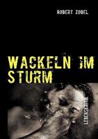 Wackeln im Sturm: Gesellschaftskritik 3837077403 Book Cover