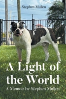 A Light of the World: A Memoir by Stephen Mullen B0F127KLFZ Book Cover
