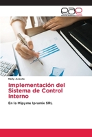 Implementación del Sistema de Control Interno (Spanish Edition) 6200016887 Book Cover