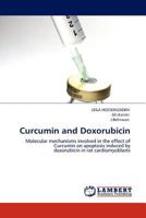 Curcumin and Doxorubicin: Molecular mechanisms involved in the effect of Curcumin on apoptosis induced by doxorubicin in rat cardiomyoblasts 3844399216 Book Cover