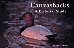 Canvasbacks: A Pictorial Study 0887401546 Book Cover