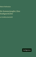 Die Kammerjungfer; Eine Stadtgeschichte: in Großdruckschrift (German Edition) 3368375741 Book Cover