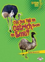 Can You Tell an Ostrich from an Emu? 0761367411 Book Cover