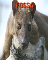 Fossa: Amazing Facts about Fossa B08LJ9F1FH Book Cover