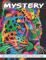 Mystery Colors Creative Color By Number & Discover Magic: Pixel Art Coloring Books for Kids and Educational Activity Books for Kids 8-12 B09TDZ4YB6 Book Cover