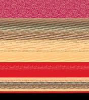 The Bamboo Dance 0615489842 Book Cover