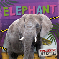 Elephant (Endangered Life Cycles) B0DZ8JYNM1 Book Cover