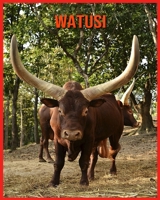 Watusi: Livre pour Enfants Images & Informations Etonnantes Concernant les Watusi B08WJZDDFT Book Cover