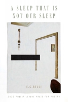 A Sleep That Is Not Our Sleep 1934695734 Book Cover