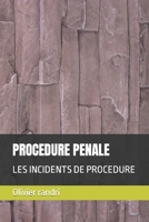 PROCEDURE PENALE: LES INCIDENTS DE PROCEDURE B0C1HZYD5X Book Cover