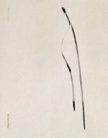 Txema Yeste: Needles 8410290049 Book Cover