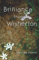 Brilliance from Wisherton 1943598266 Book Cover