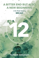 A Bitter End But Also A New Beginning: A Six Week Study In Micah B0GJ6XXC94 Book Cover
