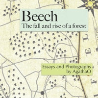 Beech: The Fall and Rise of a Forest 0998961116 Book Cover