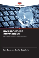 Environnement informatique (French Edition) 6207021010 Book Cover