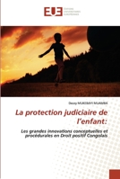 La protection judiciaire de l’enfant:: Les grandes innovations conceptuelles et procédurales en Droit positif Congolais 6203420794 Book Cover