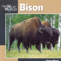 Bison (Our Wild World) 1559717750 Book Cover