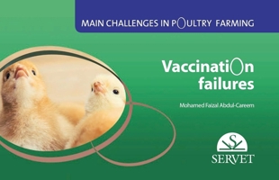 Main challenges in poultry farming. Vaccination failures 8416315604 Book Cover